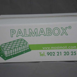 Palmabox